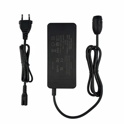 42V2.0A Rosenberger RoPD eBike Charger OEM