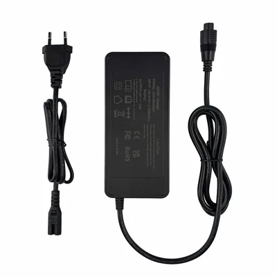 42V2.0A Phylion/Joycube eBike Charger OEM