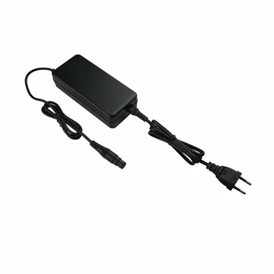 Dual Voltage Electric Scooter Charger 36V 48V Auto-Detect 3A